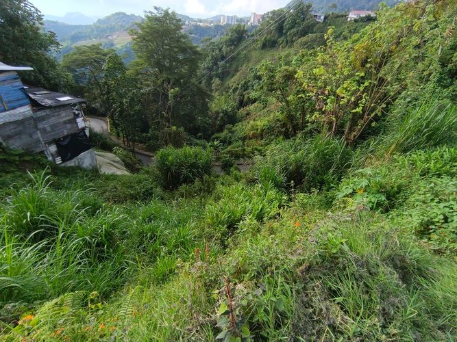 Lote en venta en Centenario, Manizales · foto 5 de 15