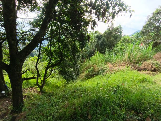 Lote en venta en Centenario, Manizales · foto 7 de 15