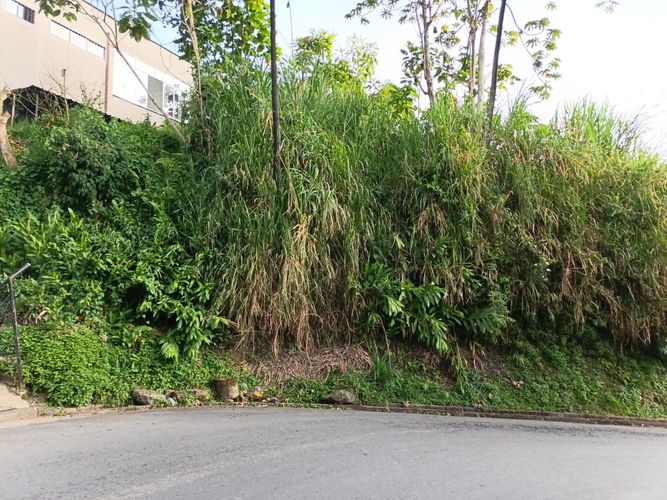 Lote en venta en Centenario, Manizales · foto 8 de 15
