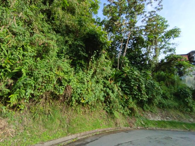 Lote en venta en Centenario, Manizales · foto 15 de 15