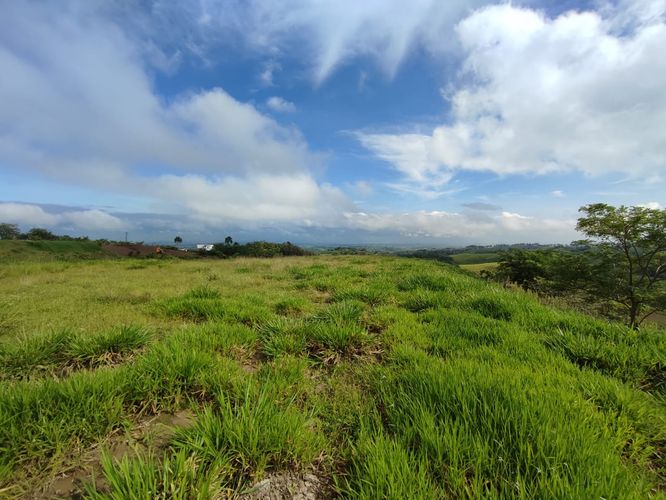 Lote en venta en Cerritos, Pereira · foto 2 de 13
