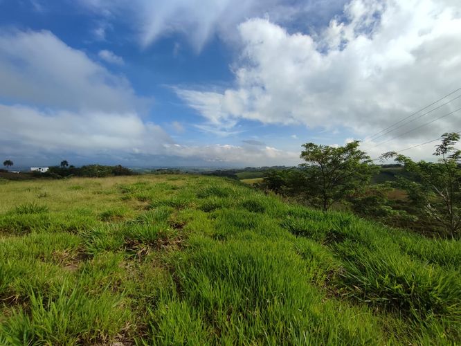 Lote en venta en Cerritos, Pereira · foto 3 de 13