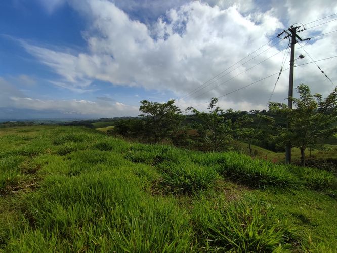 Lote en venta en Cerritos, Pereira · foto 4 de 13