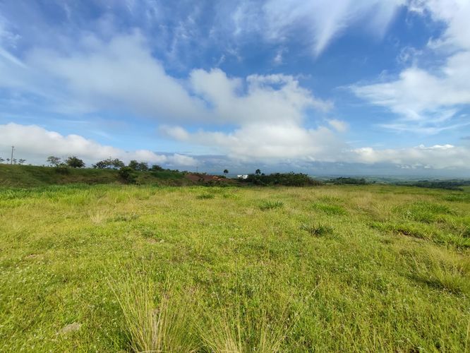 Lote en venta en Cerritos, Pereira · foto 7 de 13