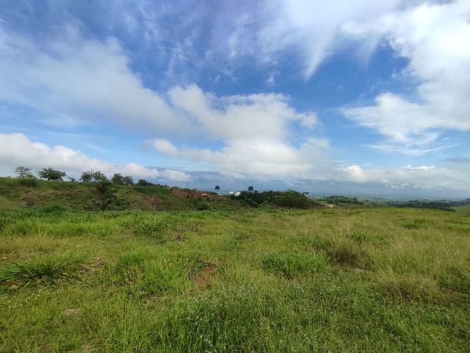 Lote en venta en Cerritos, Pereira · foto 8 de 13