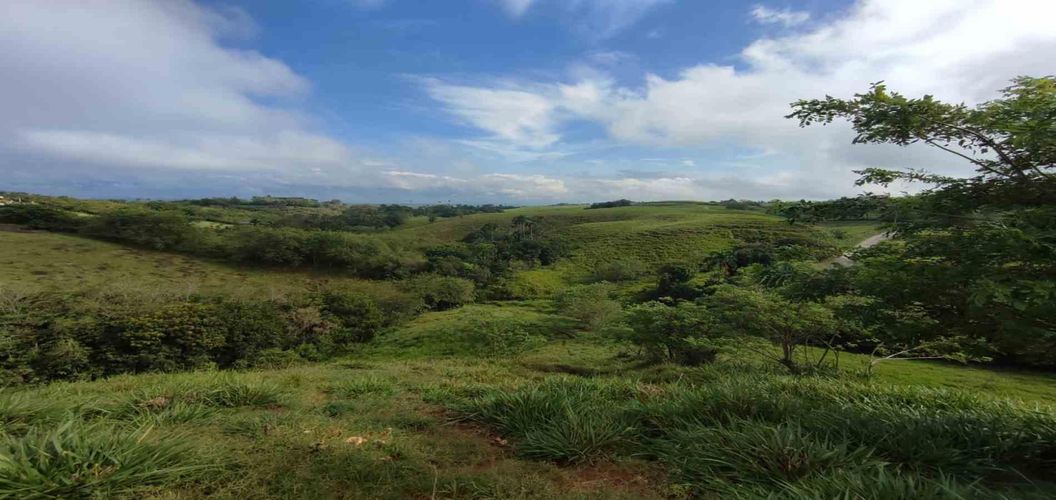 Lote en venta en Cerritos, Pereira · foto 10 de 13