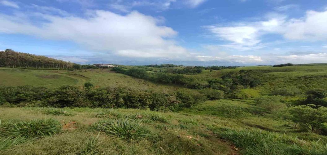 Lote en venta en Cerritos, Pereira · foto 11 de 13