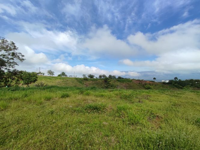 Lote en venta en Cerritos, Pereira · foto 12 de 13