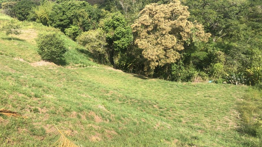 Lote en venta en Cerritos, Pereira, 2142 m² · foto 5 de 15
