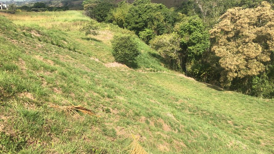 Lote en venta en Cerritos, Pereira, 2142 m² · foto 11 de 15