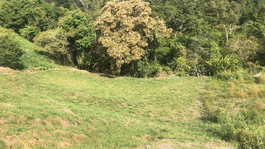 Lote en venta en Cerritos, Pereira, 2142 m² · foto 12 de 15