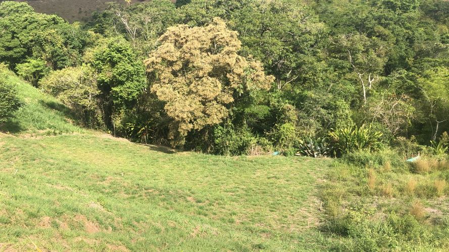 Lote en venta en Cerritos, Pereira, 2142 m² · foto 15 de 15