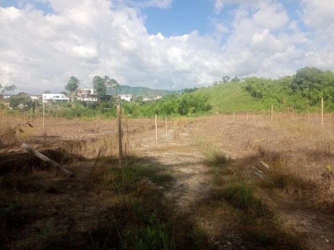Lote en venta en Tribunas Corcega, Pereira, 600 m² · foto 14 de 15