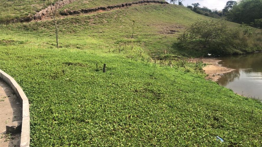 Lote en venta en Cerritos, Pereira, 2997 m² · foto 15 de 17