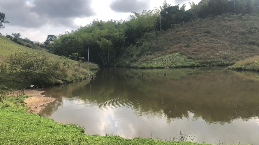 Lote en venta en Cerritos, Pereira, 2997 m² · foto 17 de 17