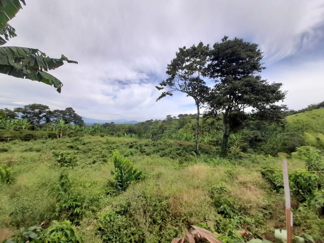 Lote en venta en Arabia, Pereira · foto 19 de 23