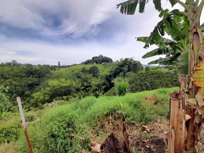 Lote en venta en Arabia, Pereira · foto 23 de 23
