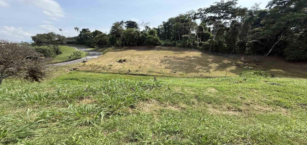Lote en venta en Cerritos, Pereira · foto 2 de 14