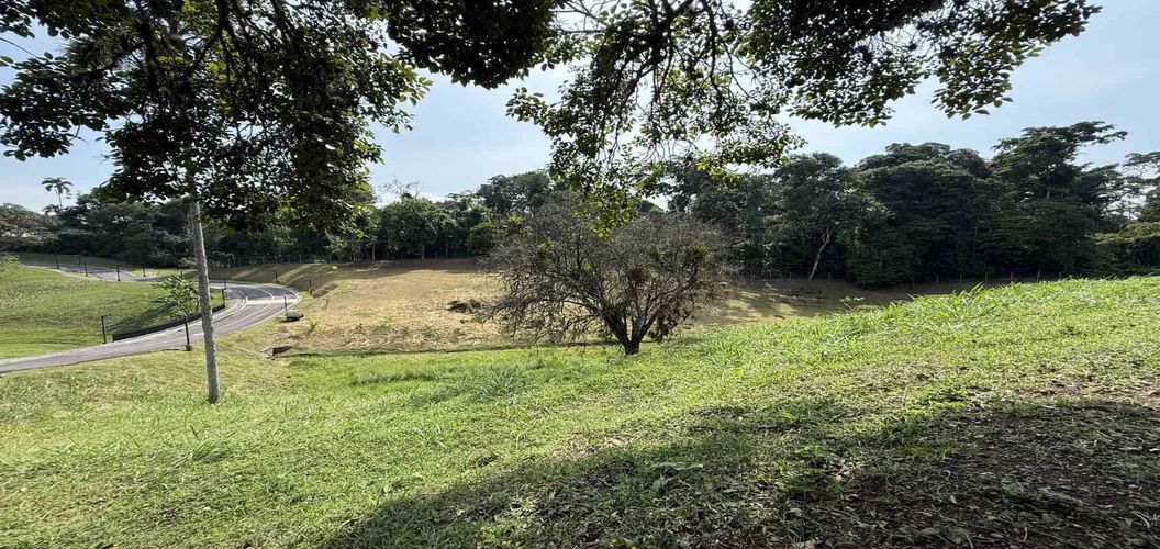 Lote en venta en Cerritos, Pereira · foto 5 de 14
