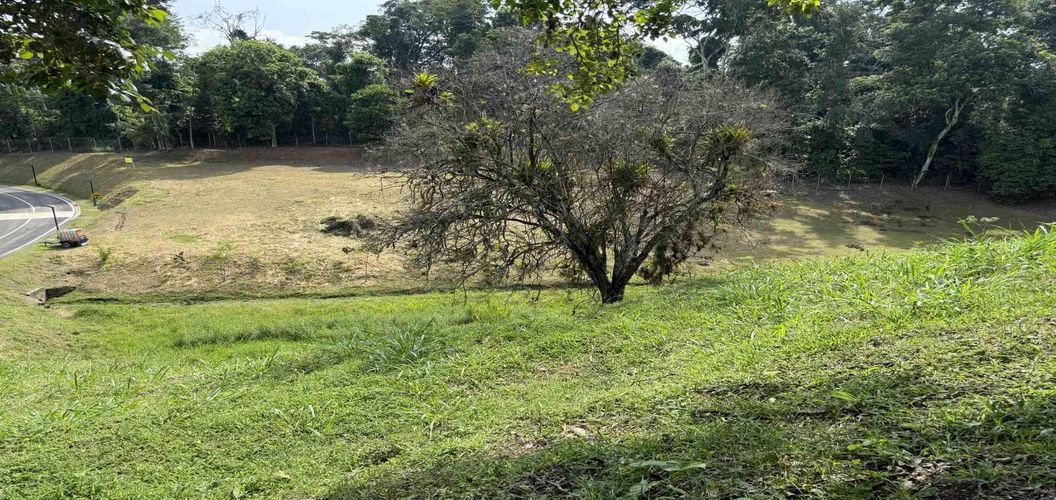 Lote en venta en Cerritos, Pereira · foto 6 de 14