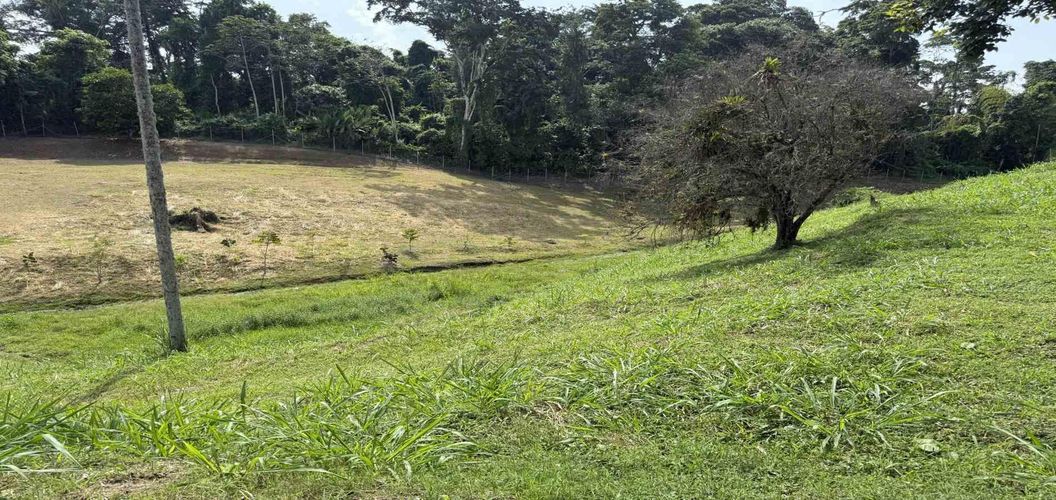 Lote en venta en Cerritos, Pereira · foto 8 de 14