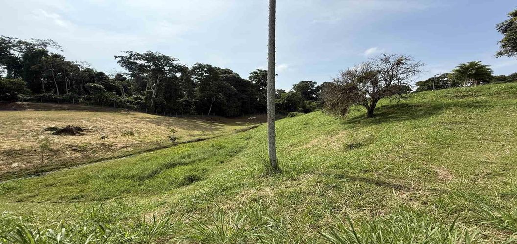 Lote en venta en Cerritos, Pereira · foto 9 de 14