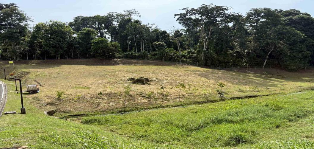 Lote en venta en Cerritos, Pereira · foto 11 de 14