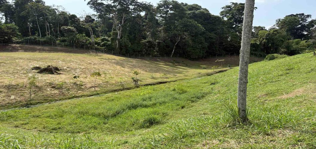 Lote en venta en Cerritos, Pereira · foto 12 de 14
