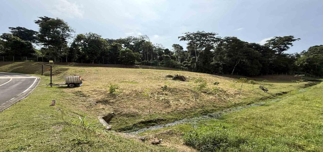 Lote en venta en Cerritos, Pereira · foto 13 de 14