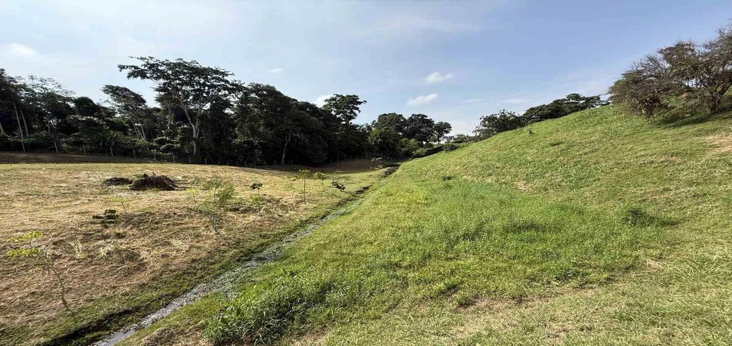 Lote en venta en Cerritos, Pereira · foto 14 de 14