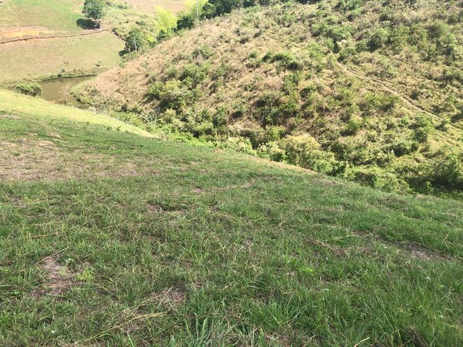 Lote en venta en Cerritos, Pereira, 1525 m² · foto 2 de 16