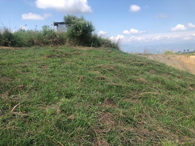 Lote en venta en Cerritos, Pereira, 1525 m² · foto 5 de 16