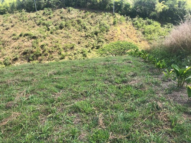 Lote en venta en Cerritos, Pereira, 1525 m² · foto 6 de 16