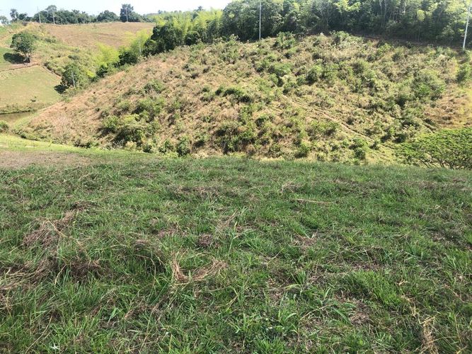Lote en venta en Cerritos, Pereira, 1525 m² · foto 7 de 16