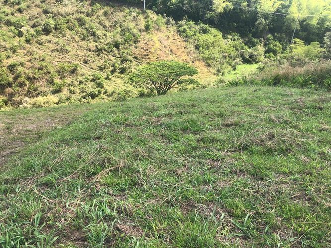 Lote en venta en Cerritos, Pereira, 1525 m² · foto 9 de 16