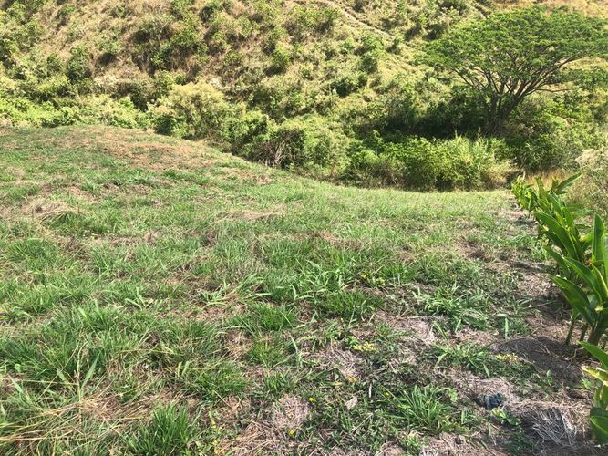 Lote en venta en Cerritos, Pereira, 1525 m² · foto 16 de 16