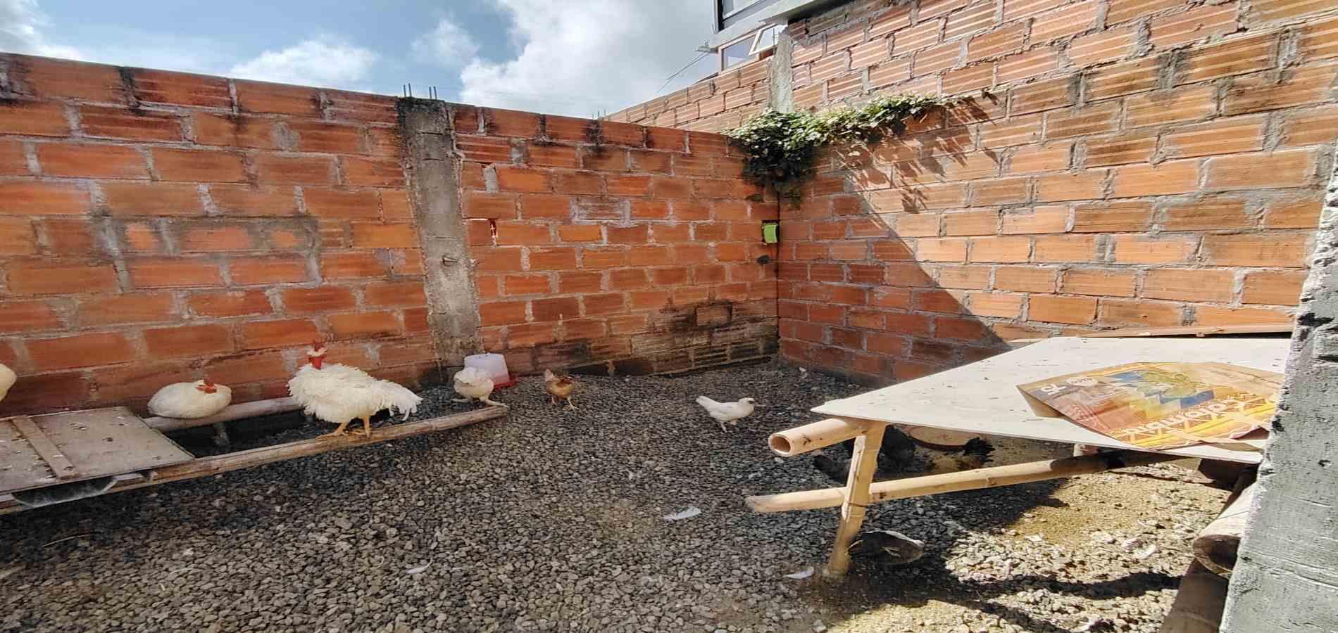 Casa en venta en Condina, Pereira · foto 14 de 24