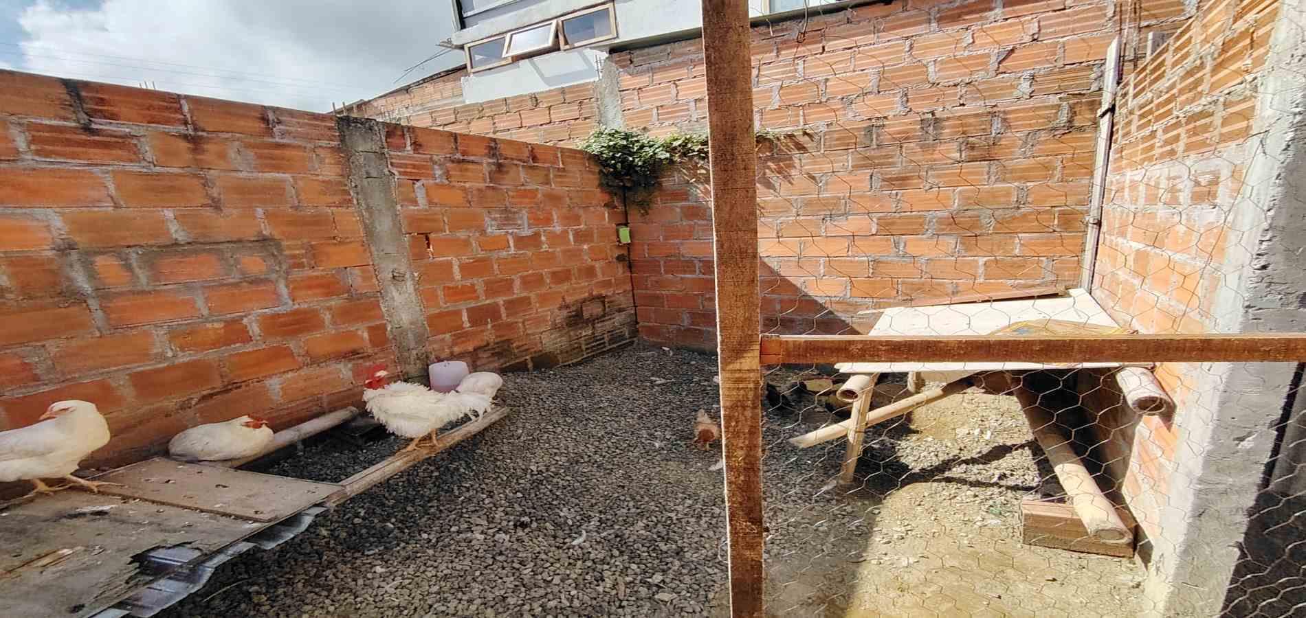 Casa en venta en Condina, Pereira · foto 15 de 24