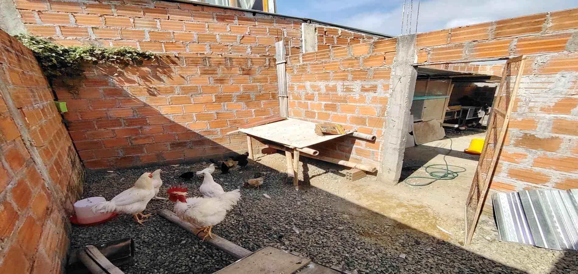Casa en venta en Condina, Pereira · foto 16 de 24