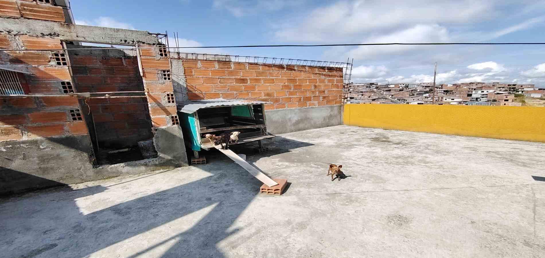 Casa en venta en Condina, Pereira · foto 19 de 24