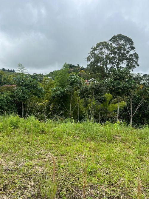 Lote en venta en Condina, Armenia · foto 6 de 9