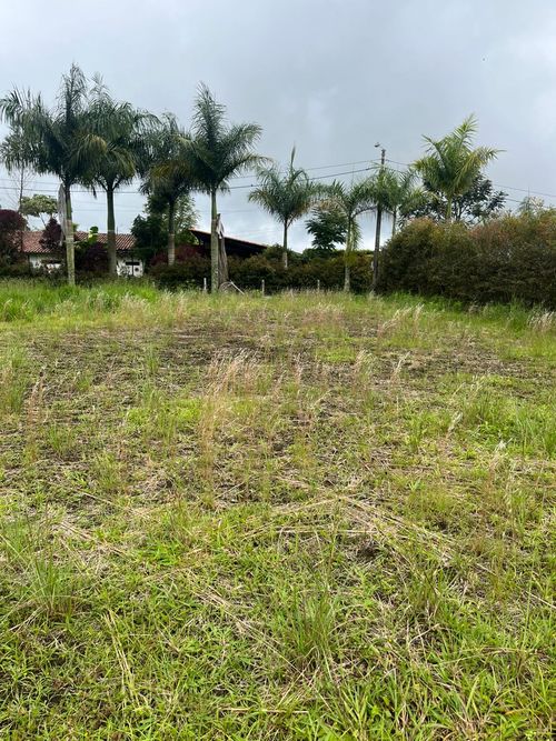 Lote en venta en Condina, Armenia · foto 9 de 9
