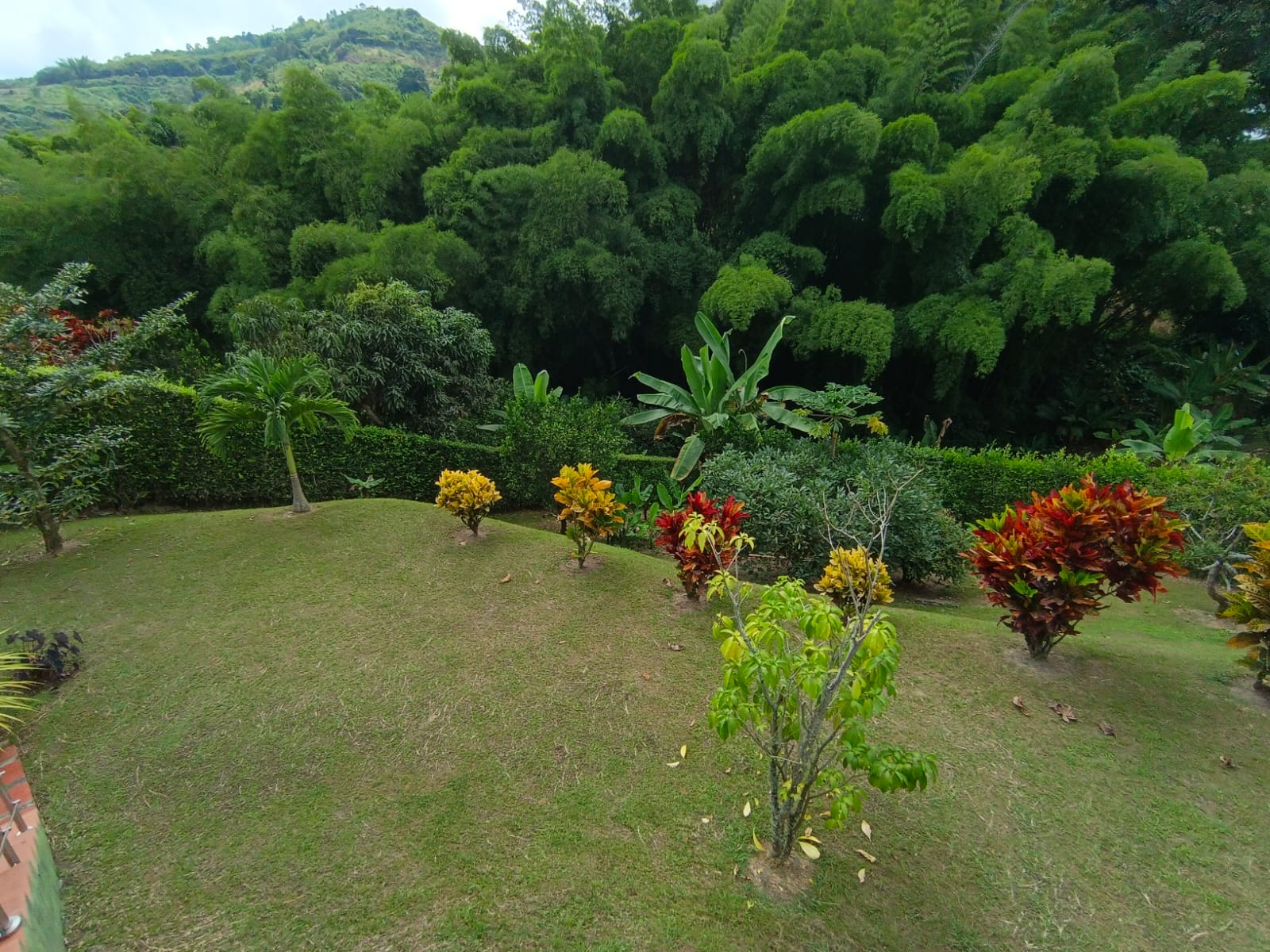Casa en venta en La Trinidad, Manizales · foto 23 de 24