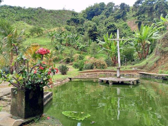 Finca en venta en Lleras, Manizales, 800 m² · foto 2 de 24