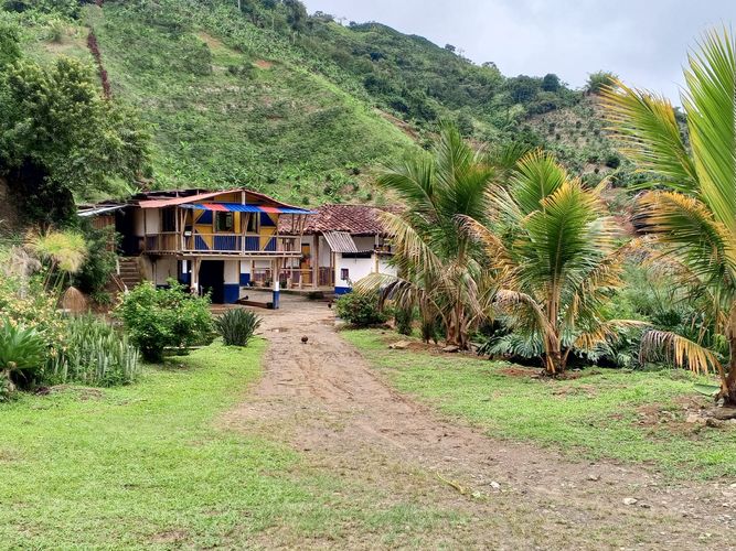 Finca en venta en Lleras, Manizales, 800 m² · foto 3 de 24
