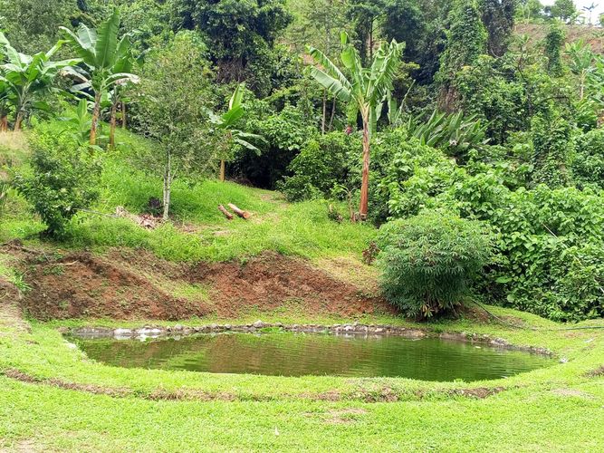 Finca en venta en Lleras, Manizales, 800 m² · foto 6 de 24