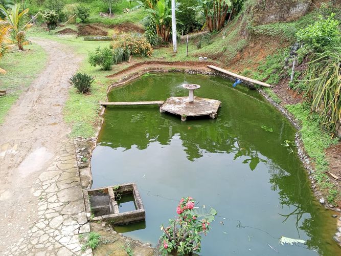 Finca en venta en Lleras, Manizales, 800 m² · foto 7 de 24