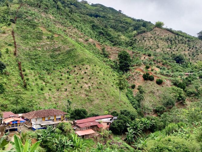 Finca en venta en Lleras, Manizales, 800 m² · foto 8 de 24