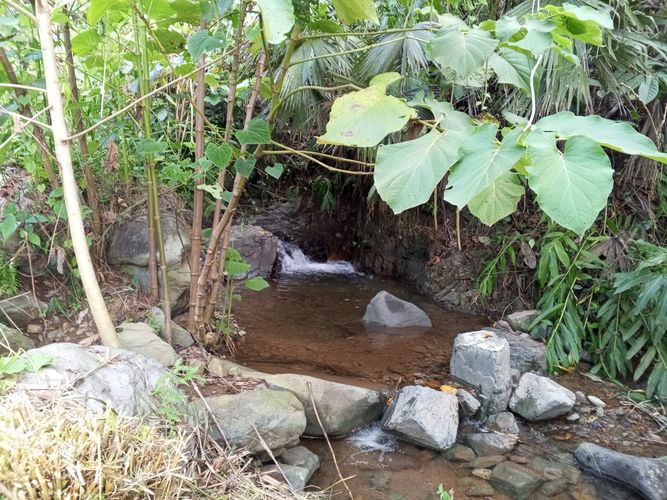 Finca en venta en Lleras, Manizales, 800 m² · foto 11 de 24
