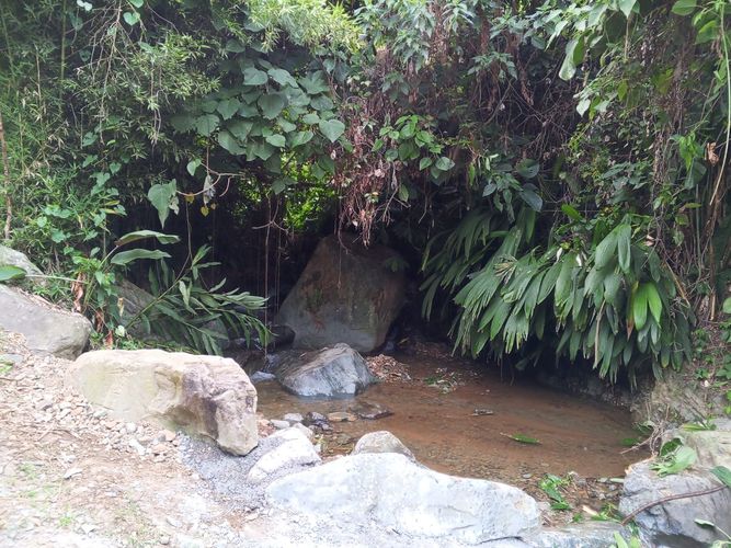 Finca en venta en Lleras, Manizales, 800 m² · foto 12 de 24